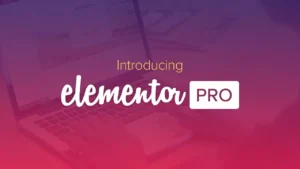 elementor pro lifetime